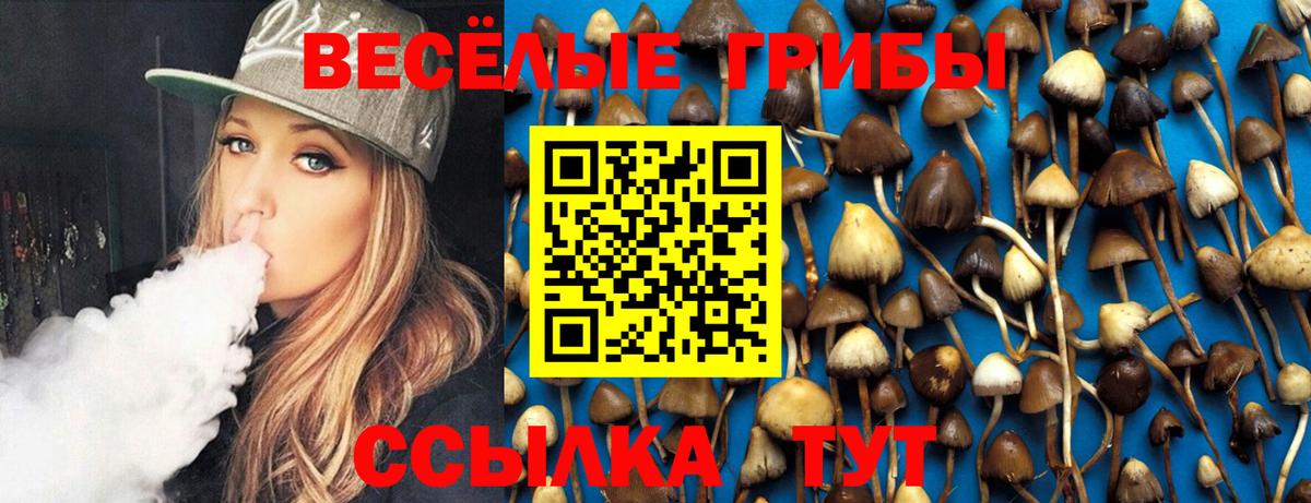 Псилоцибиновые грибы Psilocybe Кольчугино
