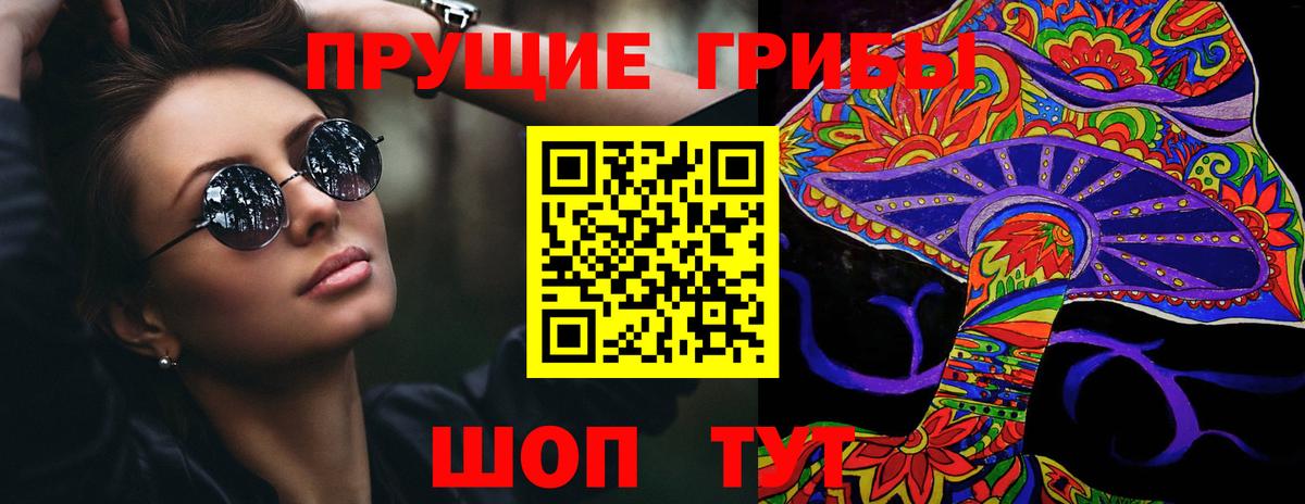 Кольчугино  Псилоцибиновые грибы MAGIC MUSHROOMS  Вход с VPN 